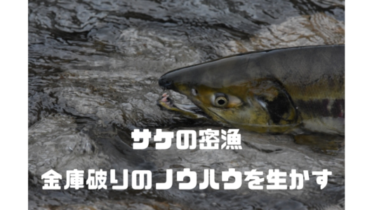 【サケ密漁】10分で17匹‼︎リーダーの男は金庫破りでも逮捕歴あり⁉︎