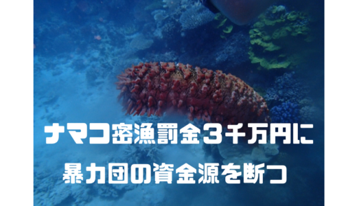 【ナマコ密漁】罰金を３千万円に引き上げ‼︎暴力団の資金源を断つ⁉︎