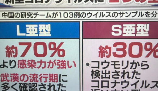 【新型コロナウイルス】には２つの型がある！実際、感染したらどのくらいで治るの？症状は？回復した女性の証言と