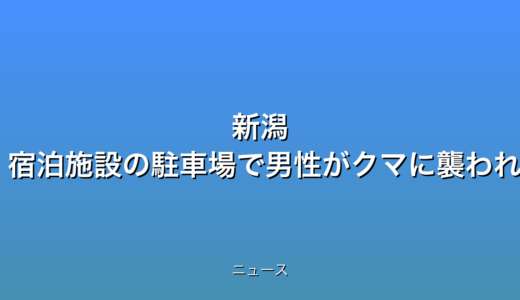 下のソーシャルリンクからフォロー