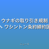 ウナギの取り引き規制 きょう採決へ ワシントン条約締約国会議の話題