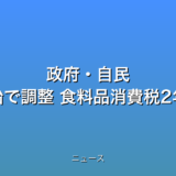 政府・自民 国民会議早期開始で調整 食料品消費税2年間ゼロでの話題