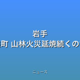 岩手 大槌町 山林火災延焼続くの話題