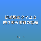 防波堤にクマ出没 釣り客ら避難の話題