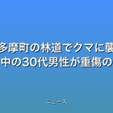 東京都奥多摩町の林道でクマに襲われたか 下山中の30代男性が重傷の話題