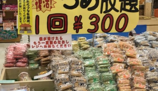 北海道で沖縄の「ちんすこう」の詰め放題と「ちんすこう」13種類の味比べをして、ゼブラパンを食べました‼️