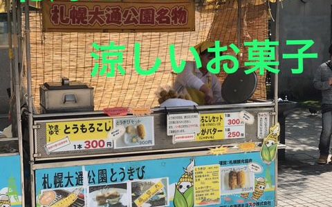 暑い時にぴったりの北海道を代表する名店のお菓子を紹介します‼︎六花亭『水無月』『六花亭セレクト』と柳月の『三方六の切れ端』【北海道スイーツの旅】