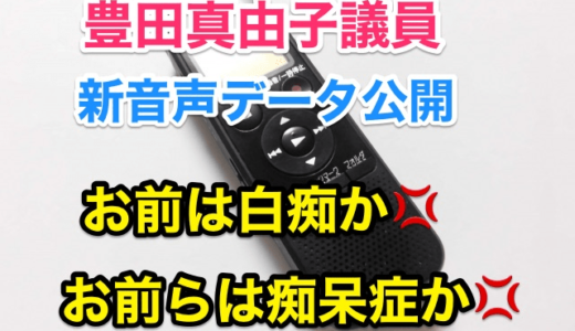 『豊田議員』新音声データで「白痴」「 痴呆症」と差別用語連発‼️文藝春秋は「嘘』⁉︎