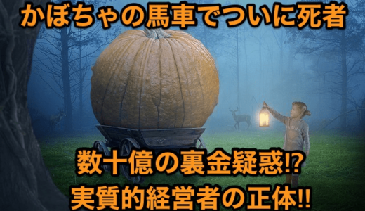 【かぼちゃの馬車でついに死者】数十億の裏金疑惑⁉︎実質的経営者の正体⁉︎