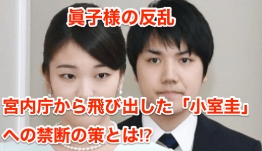 【眞子様の反乱】宮内庁から飛び出した「小室圭」への禁断の策とは⁉︎