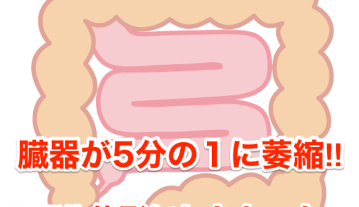 【５歳児虐待死】臓器が５分の１に萎縮‼︎モデル体形にしたかった⁉︎　