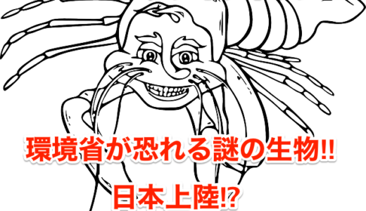 【ミステリークレイフィッシュ】環境省が恐れる謎の生物‼︎日本上陸⁉︎