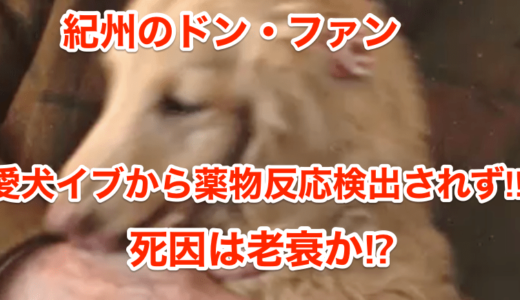 【紀州のドン・ファン】愛犬イブから薬物検出されず‼︎死因は老衰か⁉︎