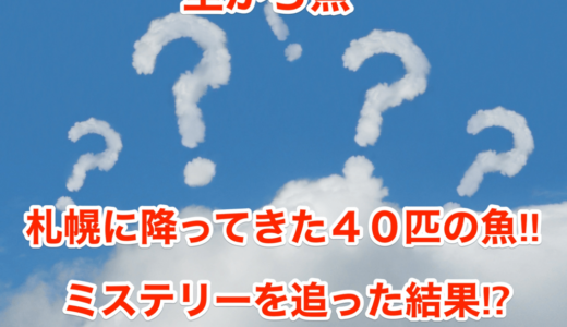 【空から魚】札幌に降ってきた４０匹の魚‼︎ミステリーを追った結果⁉︎