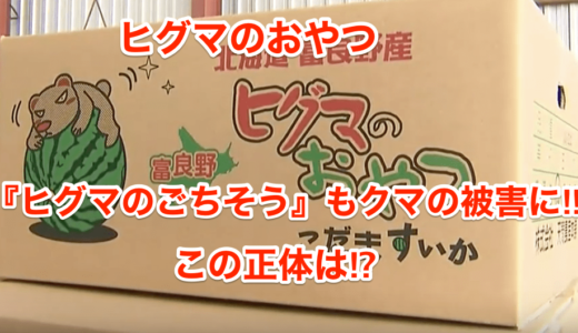 【ヒグマのおやつ】『ヒグマのごちそう』もクマの被害に‼︎この正体は⁉︎