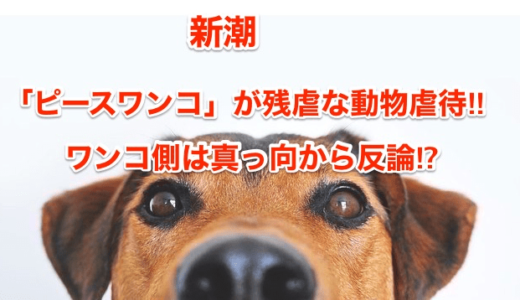 【新潮】「ピースワンコ」が残虐な動物虐待‼︎ワンコ側は真っ向から反論⁉︎