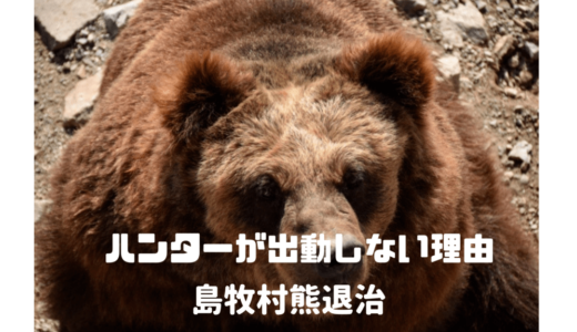 【島牧村】熊が村に出没‼︎猟友会のハンターが熊退治をやめた理由⁉︎