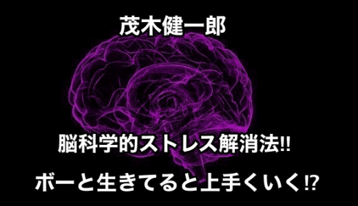 【茂木健一郎】脳科学的ストレス解消法‼︎ボーと生きてると上手くいく⁉︎